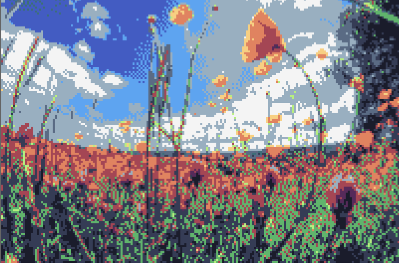 The Meadow